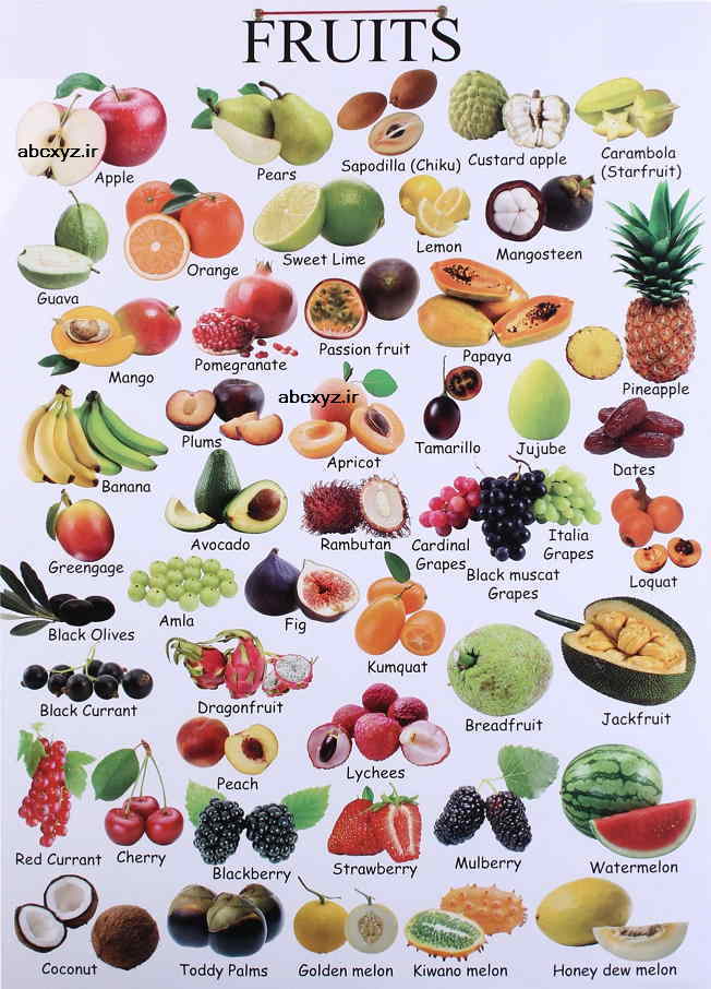 انواع میوه ها در انگلیسی Fruits in English